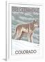 Gray Wolf Standing - Breckenridge, Colorado-Lantern Press-Framed Art Print