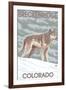 Gray Wolf Standing - Breckenridge, Colorado-Lantern Press-Framed Art Print