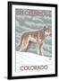 Gray Wolf Standing - Breckenridge, Colorado-Lantern Press-Framed Art Print