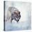 Gray Wolf Walking on the Snow-Svetlana Foote-Stretched Canvas