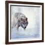 Gray Wolf Walking on the Snow-Svetlana Foote-Framed Photographic Print