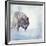 Gray Wolf Walking on the Snow-Svetlana Foote-Framed Photographic Print