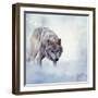 Gray Wolf Walking on the Snow-Svetlana Foote-Framed Photographic Print