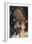 Gray Wolf-DLILLC-Framed Premium Photographic Print