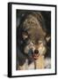 Gray Wolf-DLILLC-Framed Photographic Print