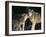 Gray Wolves Nuzzling-DLILLC-Framed Photographic Print