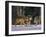 Gray Wolves Showing Submission-DLILLC-Framed Photographic Print