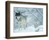 Gray Wolves Standing in Snowstorm-Lynn M^ Stone-Framed Photographic Print