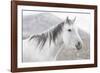 Gray-Chris Dunker-Framed Giclee Print