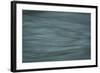 Gray-Anthony Paladino-Framed Giclee Print