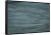 Gray-Anthony Paladino-Framed Stretched Canvas