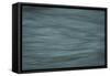 Gray-Anthony Paladino-Framed Stretched Canvas