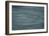 Gray-Anthony Paladino-Framed Giclee Print