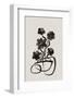 Grayflowers-Treechild-Framed Photographic Print