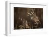 Grayish-white crystalline on a dried plant on a sunlight, blurred background-Paivi Vikstrom-Framed Photographic Print