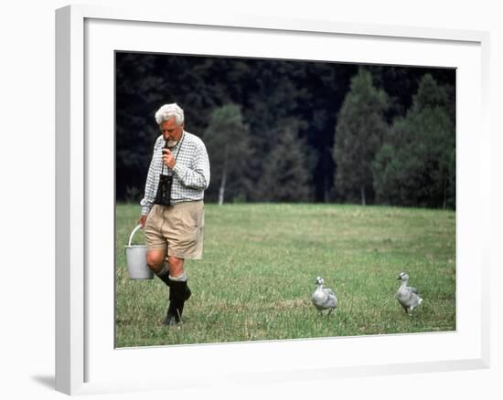 Grayleg Geese Follow Austrian Ethologist Konrad Lorenz who Taught them to Accept Him as its Mother-Nina Leen-Framed Premium Photographic Print