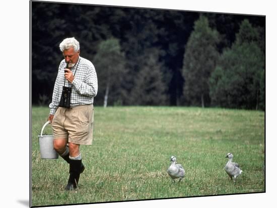 Grayleg Geese Follow Austrian Ethologist Konrad Lorenz who Taught them to Accept Him as its Mother-Nina Leen-Mounted Premium Photographic Print