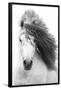Grayscale Horse-Trends International-Framed Poster