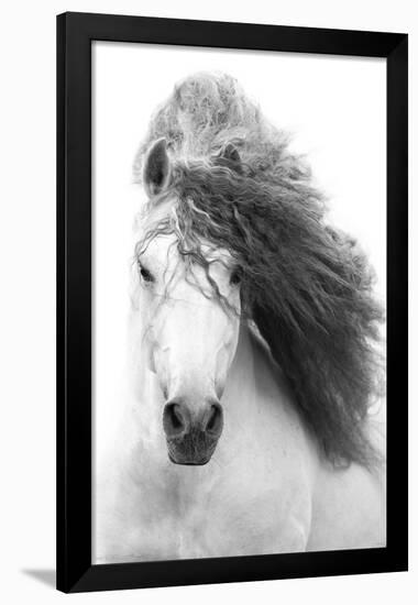 Grayscale Horse-Trends International-Framed Poster