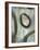 Grayson's Loops I-Wani Pasion-Framed Giclee Print