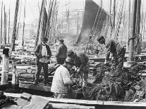 Fishermen Overhaul the Nets on Their Boats at Scarborough Yorkshire-Graystone Bird-Framed Stretched Canvas