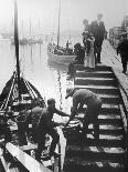 Fishermen Overhaul the Nets on Their Boats at Scarborough Yorkshire-Graystone Bird-Stretched Canvas