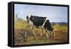 Grazing, 1884-Filippo Carcano-Framed Stretched Canvas