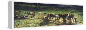 Grazing, 1886-Giovanni Segantini-Framed Stretched Canvas