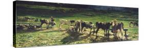 Grazing, 1886-Giovanni Segantini-Stretched Canvas