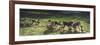 Grazing, 1886-Giovanni Segantini-Framed Giclee Print