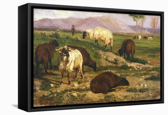 Grazing Animals-Nicola Palizzi-Framed Stretched Canvas