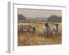 Grazing at Sunset II-Ethan Harper-Framed Art Print