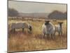 Grazing at Sunset II-Ethan Harper-Mounted Art Print