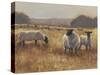 Grazing at Sunset II-Ethan Harper-Stretched Canvas