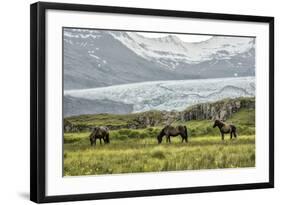 Grazing at the Glacier-Danny Head-Framed Photographic Print