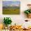 Grazing Cattle, Sawtooth National Recreation Area, Idaho, USA-Jamie & Judy Wild-Photographic Print displayed on a wall