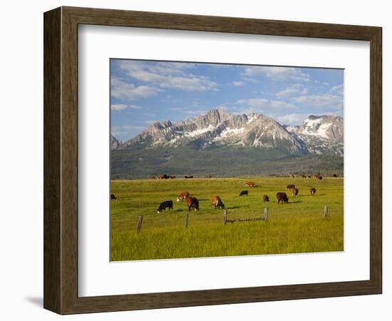 Grazing Cattle, Sawtooth National Recreation Area, Idaho, USA-Jamie & Judy Wild-Framed Photographic Print