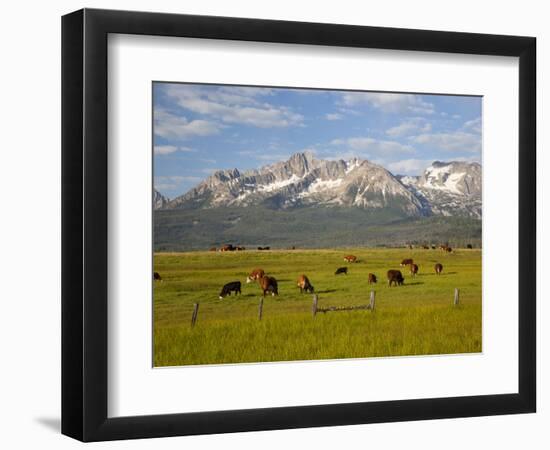 Grazing Cattle, Sawtooth National Recreation Area, Idaho, USA-Jamie & Judy Wild-Framed Photographic Print