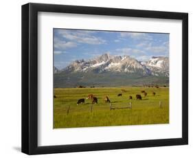 Grazing Cattle, Sawtooth National Recreation Area, Idaho, USA-Jamie & Judy Wild-Framed Photographic Print