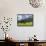 Grazing Cattle, Tyrol, Austria-Martin Zwick-Framed Stretched Canvas displayed on a wall