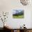 Grazing Cattle, Tyrol, Austria-Martin Zwick-Stretched Canvas displayed on a wall