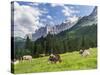 Grazing Cattle, Tyrol, Austria-Martin Zwick-Stretched Canvas