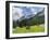 Grazing Cattle, Tyrol, Austria-Martin Zwick-Framed Premium Photographic Print