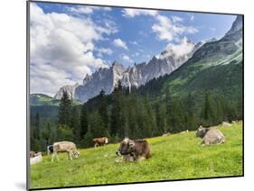 Grazing Cattle, Tyrol, Austria-Martin Zwick-Mounted Premium Photographic Print
