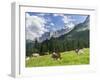 Grazing Cattle, Tyrol, Austria-Martin Zwick-Framed Photographic Print