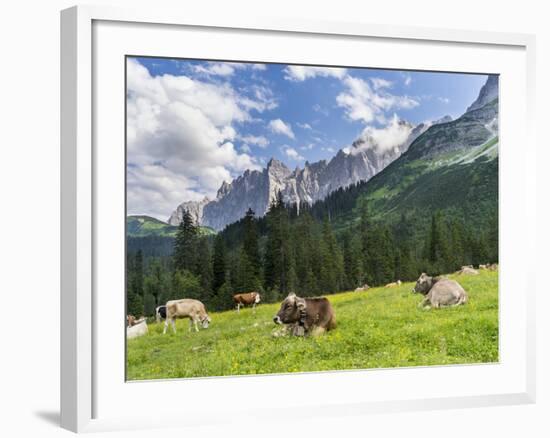 Grazing Cattle, Tyrol, Austria-Martin Zwick-Framed Photographic Print