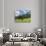 Grazing Cattle, Tyrol, Austria-Martin Zwick-Photographic Print displayed on a wall