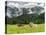 Grazing Cattle, Tyrol, Austria-Martin Zwick-Stretched Canvas