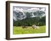 Grazing Cattle, Tyrol, Austria-Martin Zwick-Framed Premium Photographic Print