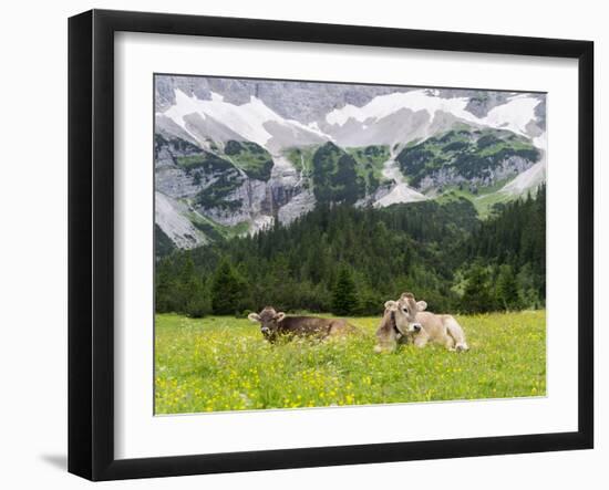 Grazing Cattle, Tyrol, Austria-Martin Zwick-Framed Premium Photographic Print